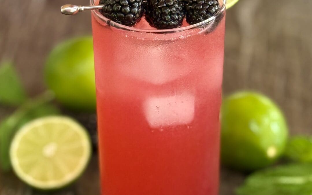 Blackberry NOjito Mocktail (Alcohol Free Blackberry Mojito)