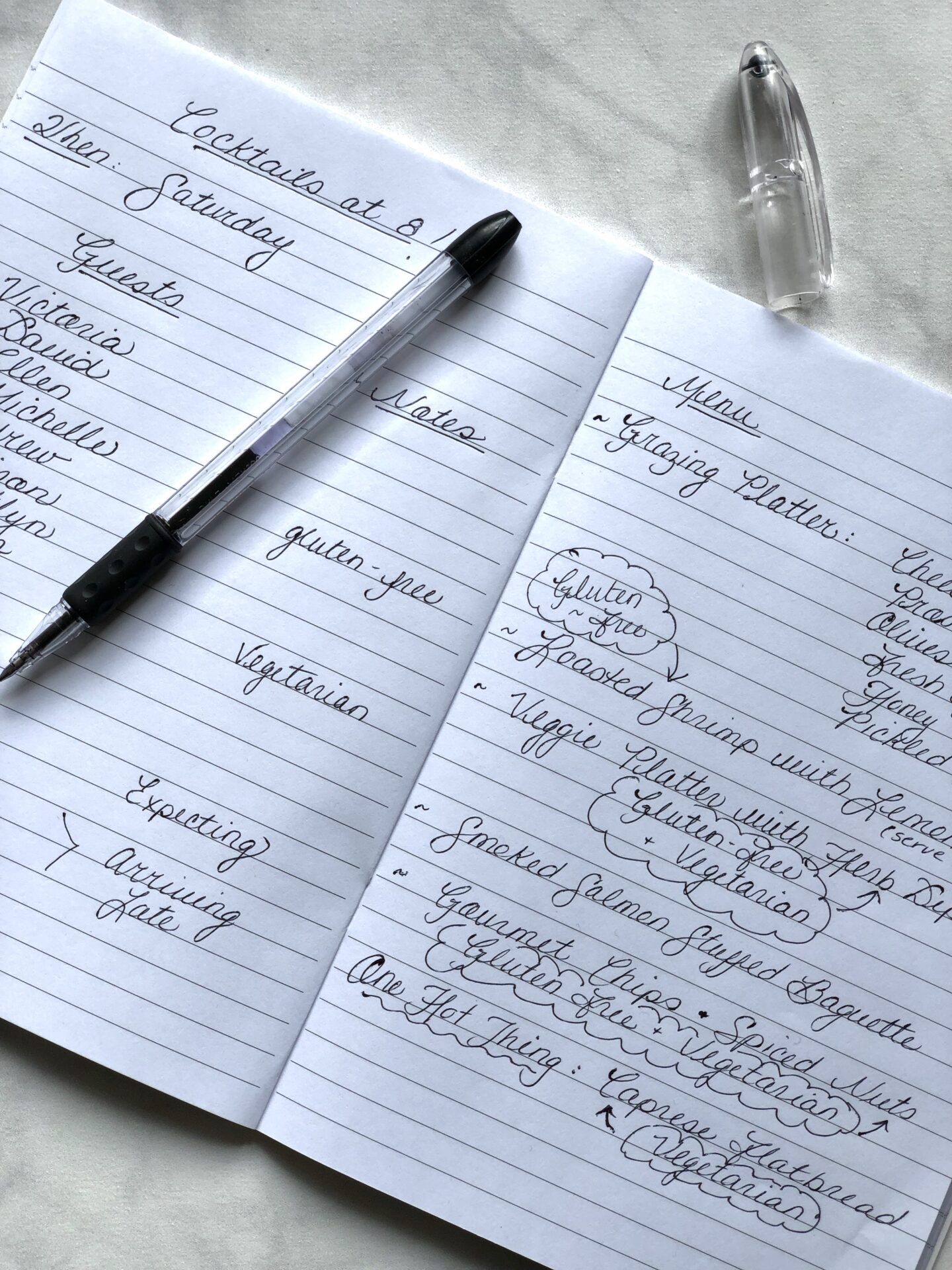 Handwritten Party Planning Notes