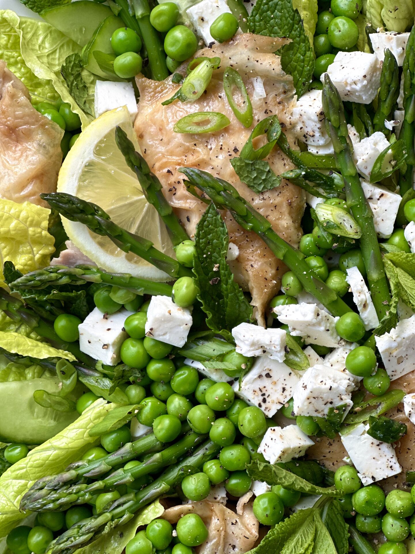 Close up of fresh and vibrant salad of greens, peans, asparagus, feta, roast chicken and lemons