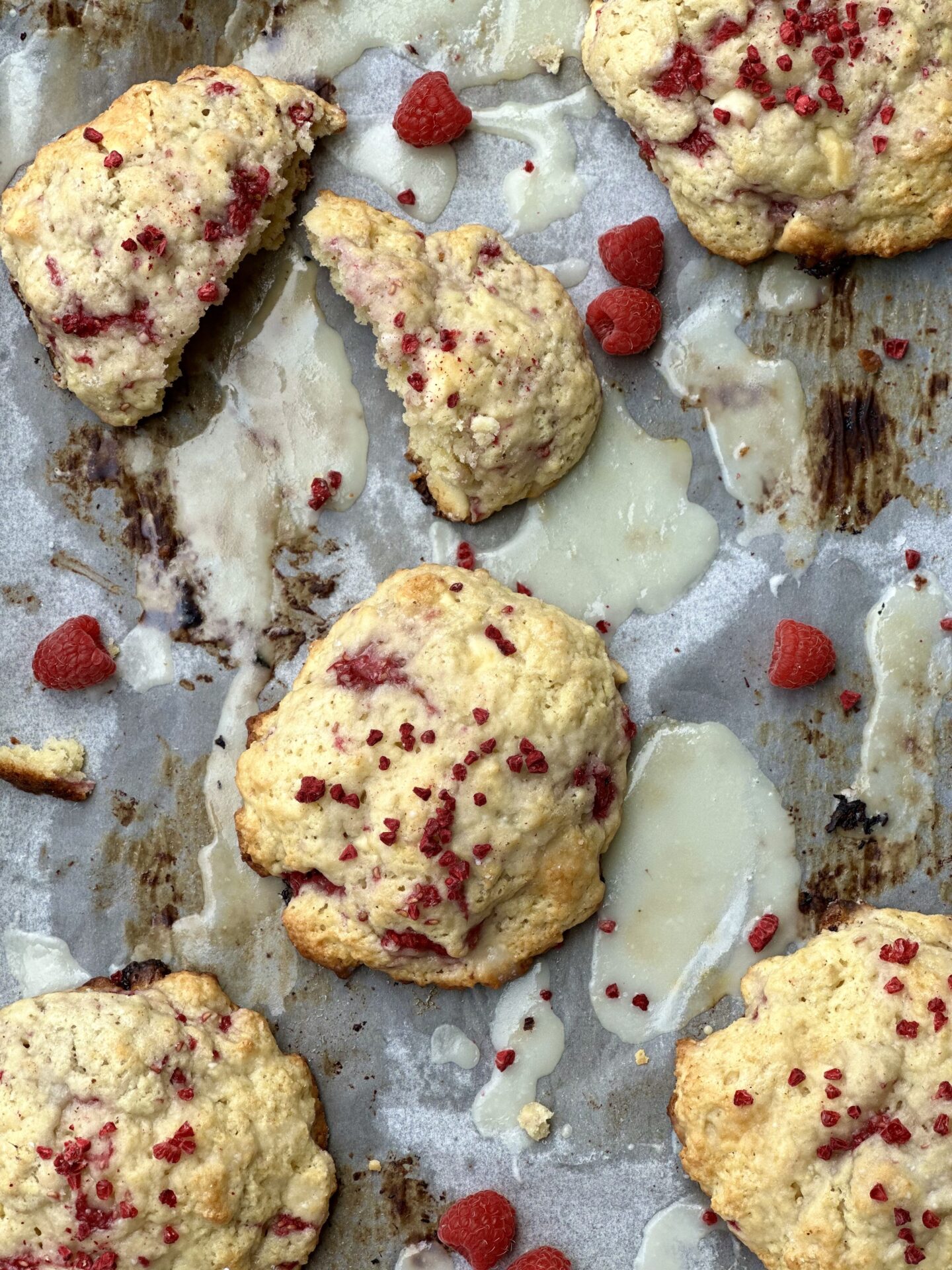 Baking sheet with freshly baked Raspberry White Chocolate Scones with dripping white chocolate glaze and fresh raspberries
