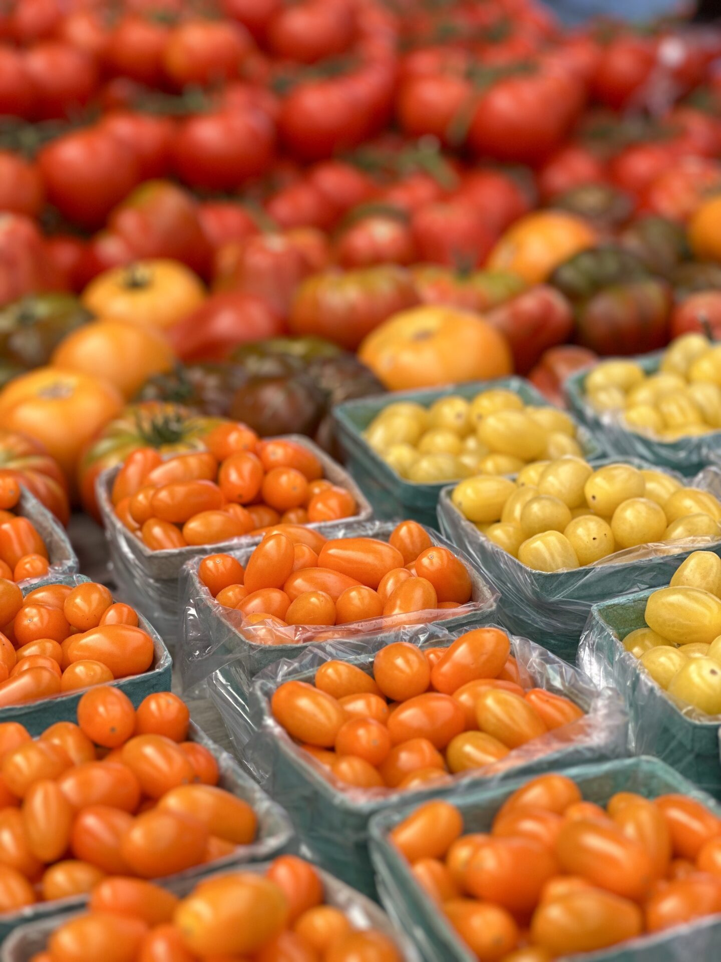 Pints of orange and yellow cherry tomatoes are seen at a farm stand with larger multicoloured heirloom tomatoes in the background