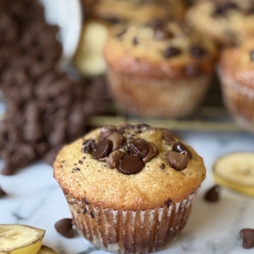 A single Sour Cream Banana Chocolate Chip Muffin is seen in the foreground, topped with loads of chocolate chips. In the background, more muffins rest on a cooling rack beside a bowl of chocolate chips.