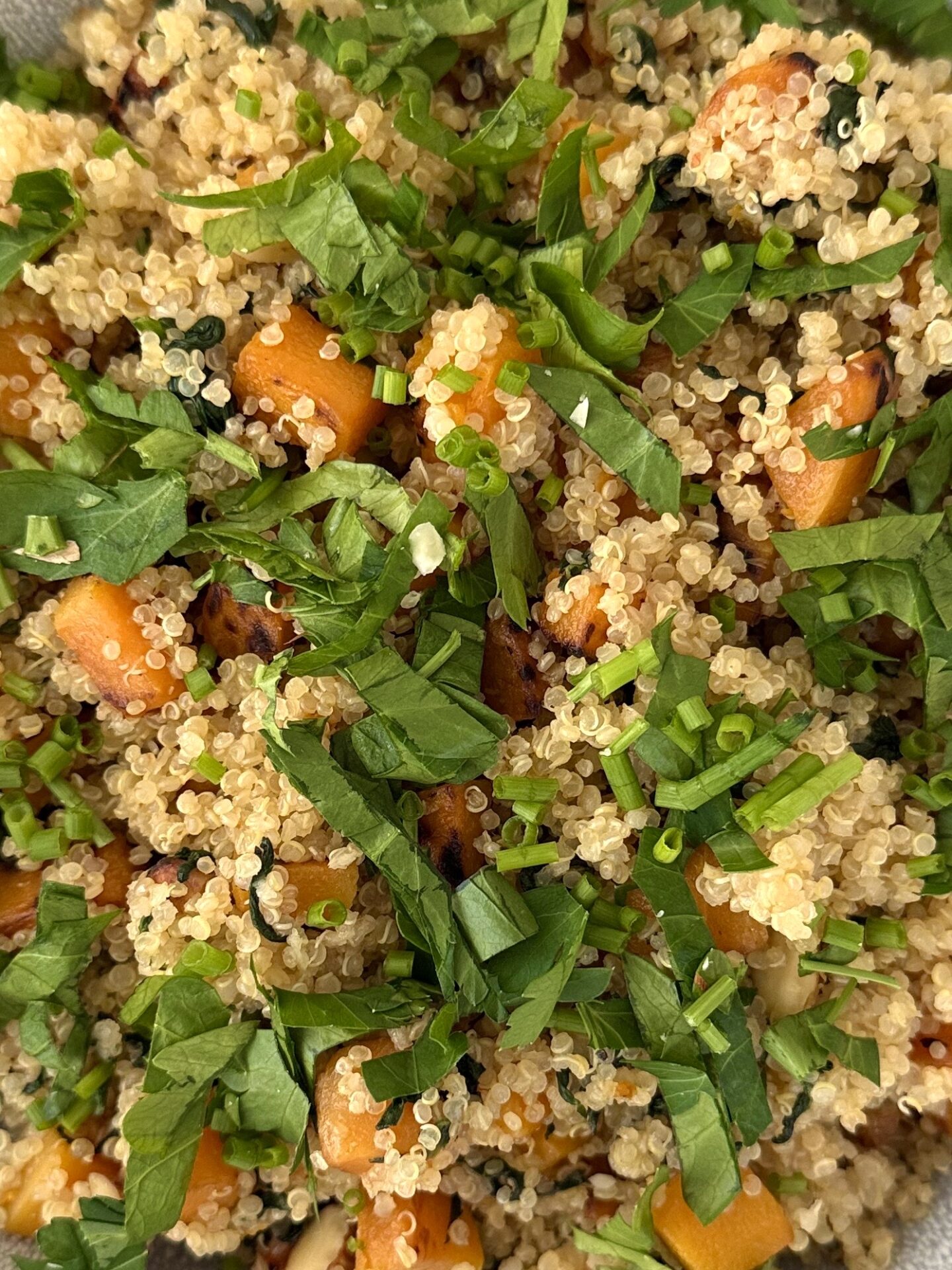 A close up photo of quinoa salad with butternut squash, spinach and crunchy almonds.  The salad is topped with a heavy sprinkling of chopped fresh parsley and chives.